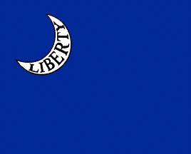 [Moultrie flag]